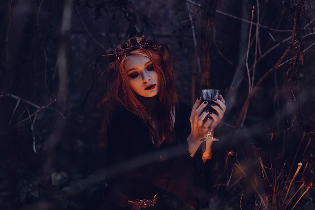 Enchanted forest